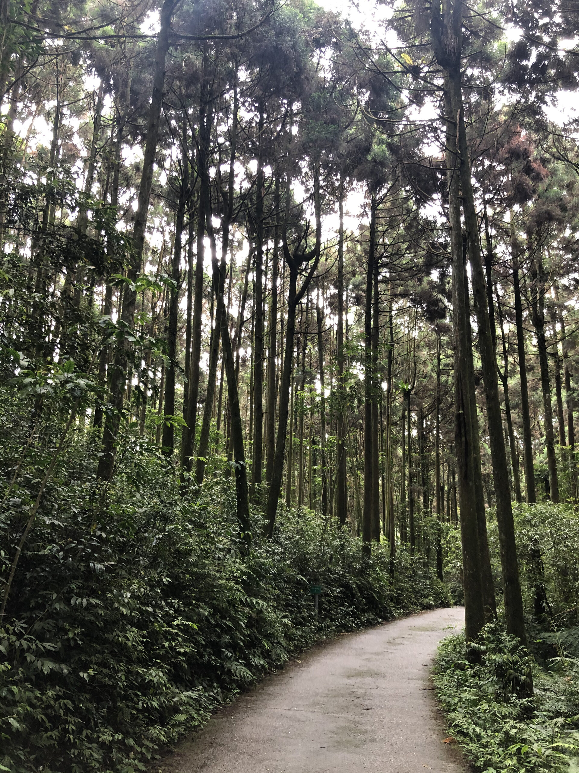 登山步道入口