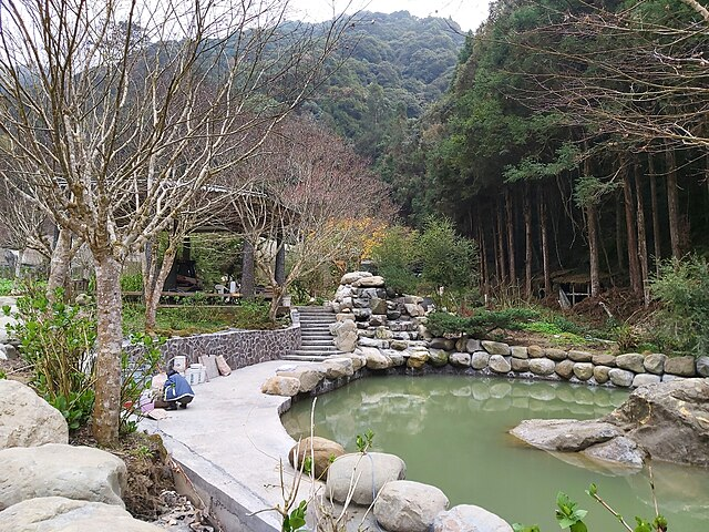杉林溪森林生態渡假園區